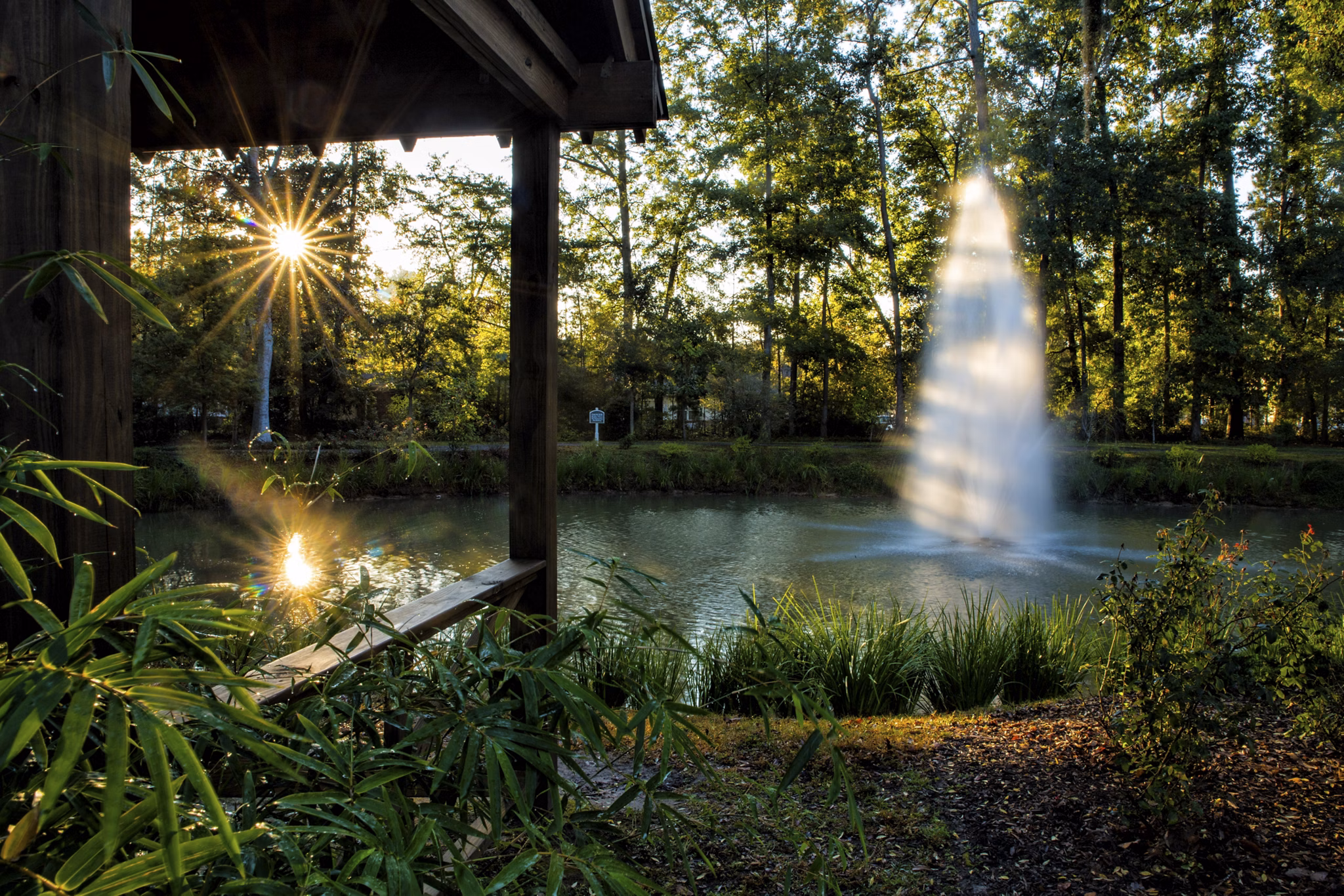 neighborhood at Avana Oakbrook Apartments