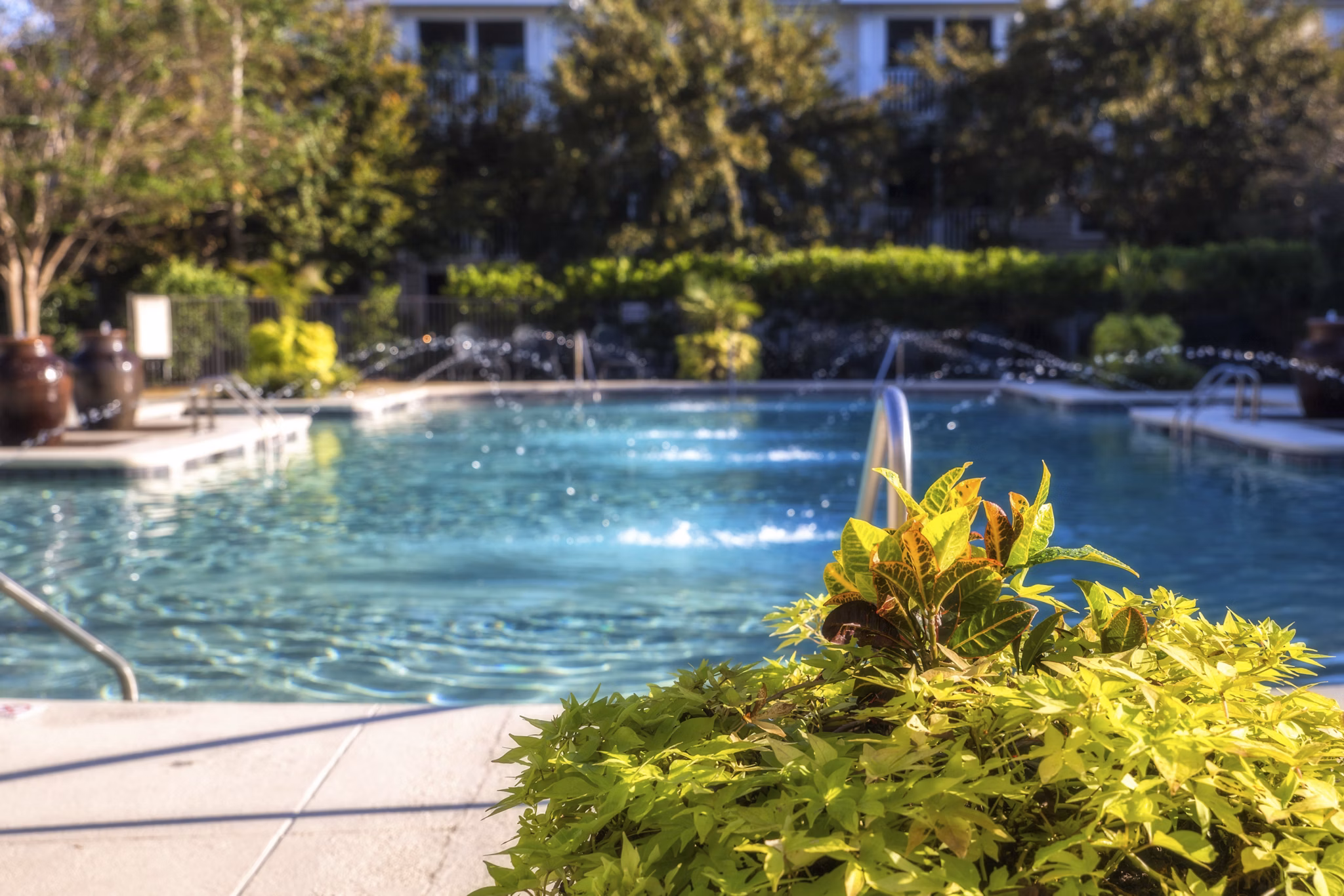 pool at Avana Oakbrook Apartments