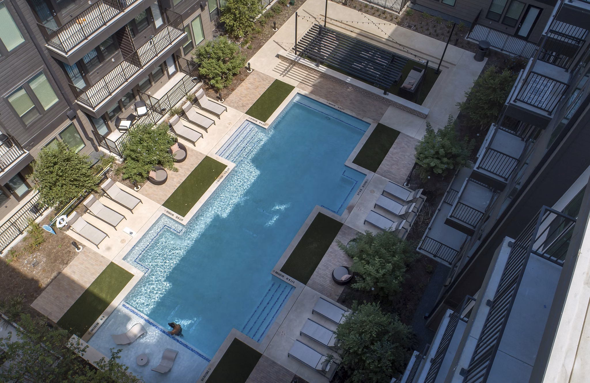 pool at Amelia at Farmers Market Apartments