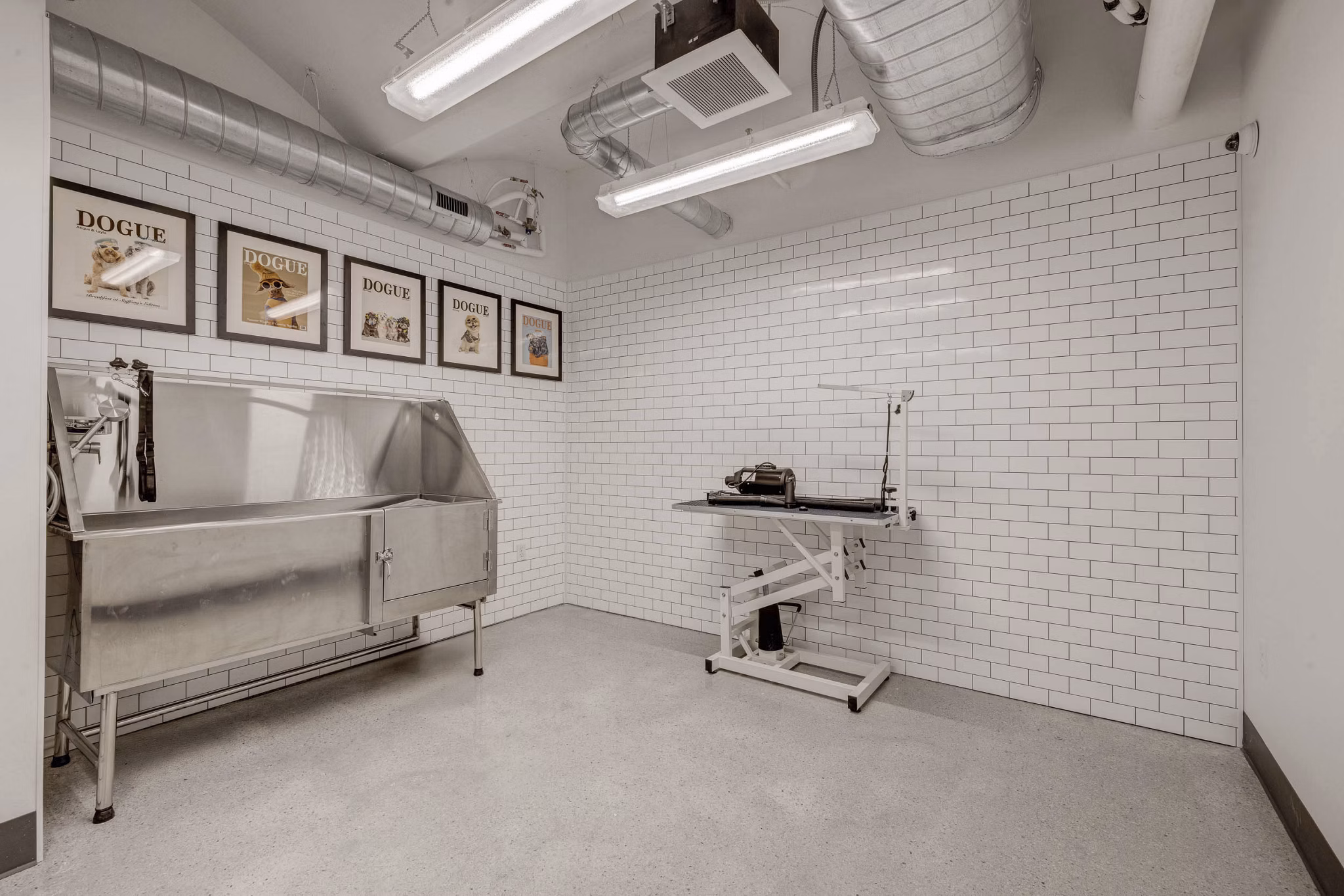 dog wash station at The Source on South Temple Apartments