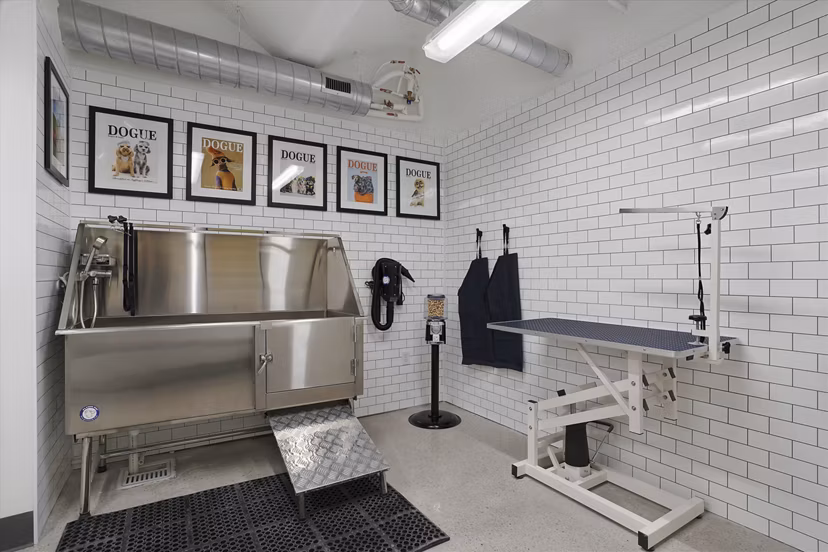 dog wash station at The Source on South Temple Apartments