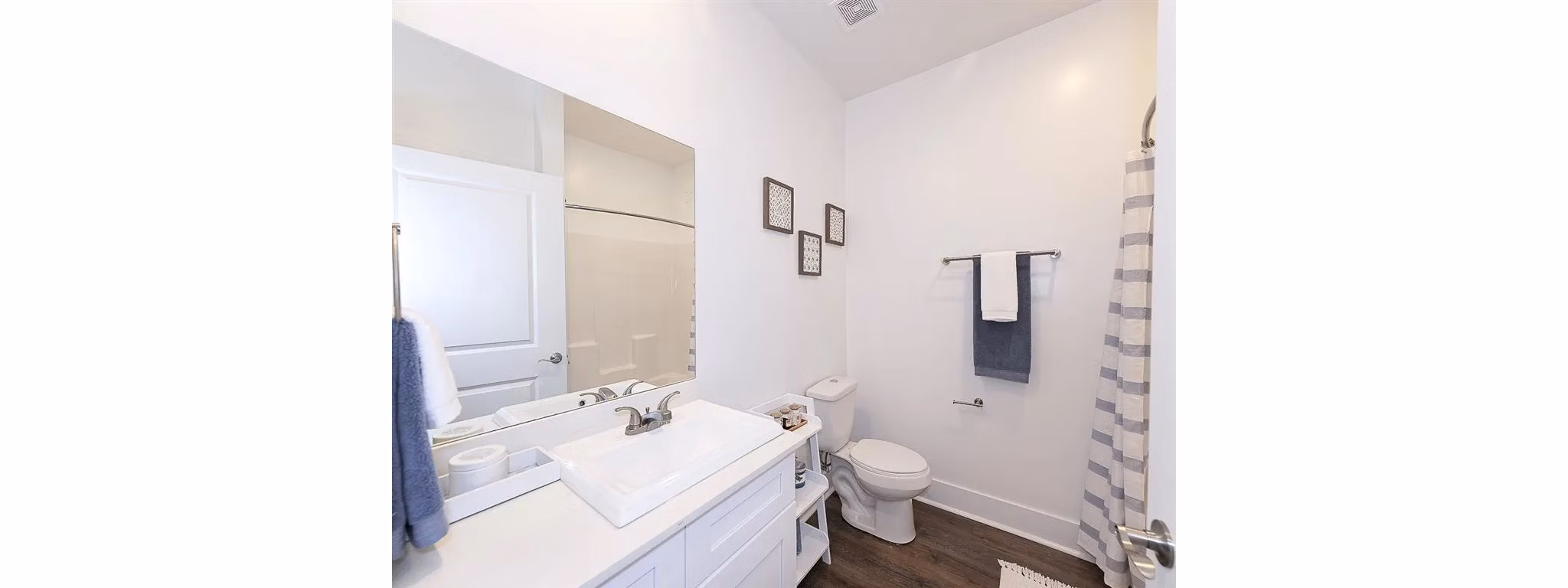 bathroom at Pointe Grand Savannah Apartments