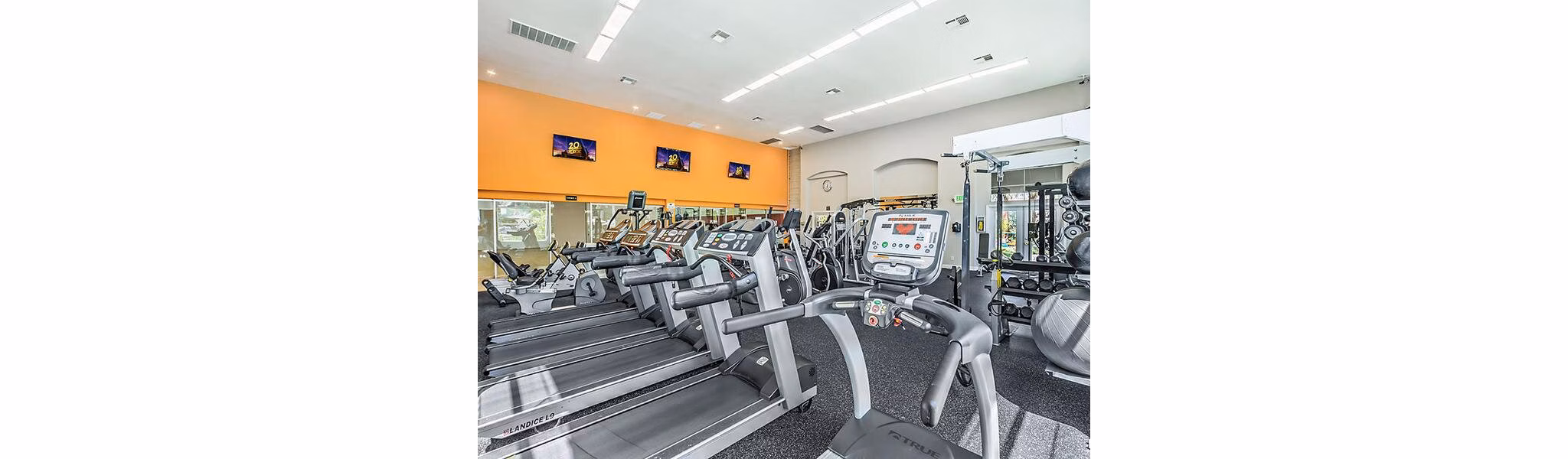fitness center at The Avondale Apartments