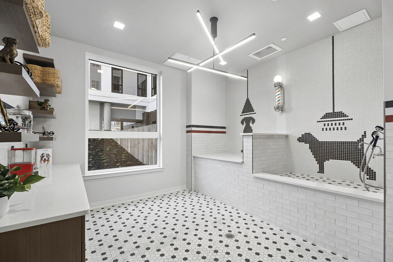 Pet wash at Via Callowhill