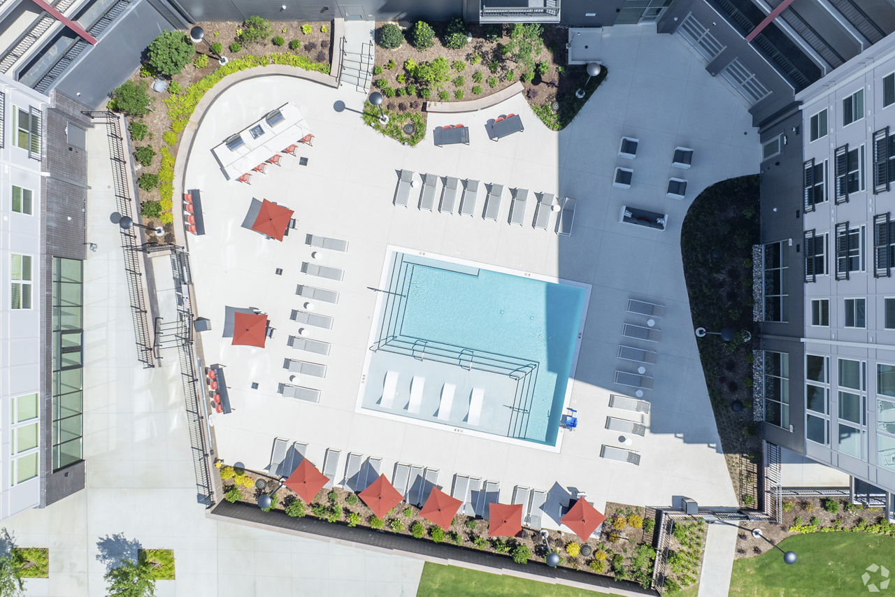 Pool at Centro At Pine Nash Apartments (2 of 2)