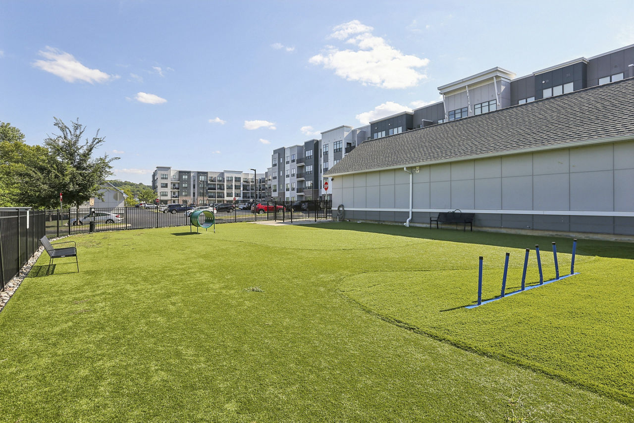 Dog park at Arlo