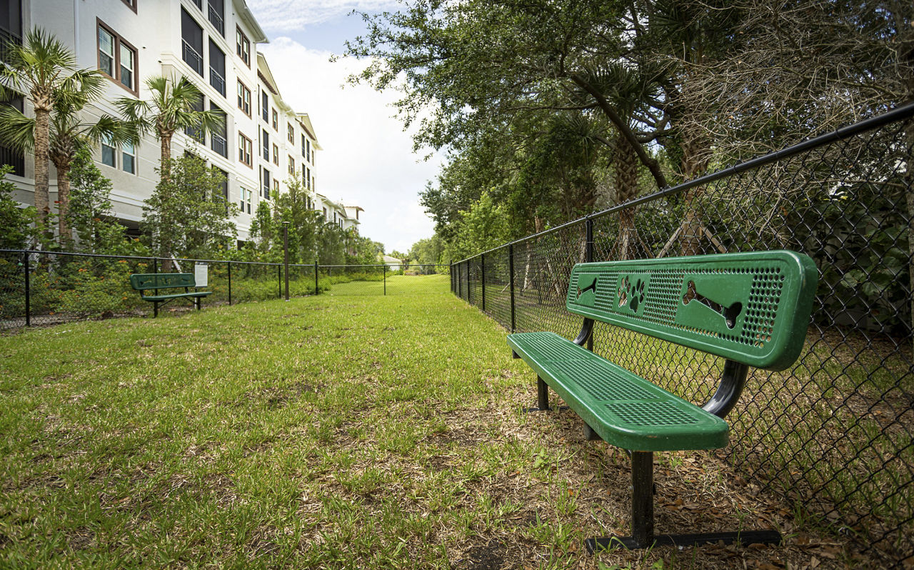 Dog park at Everleigh Palm Beach Gardens
