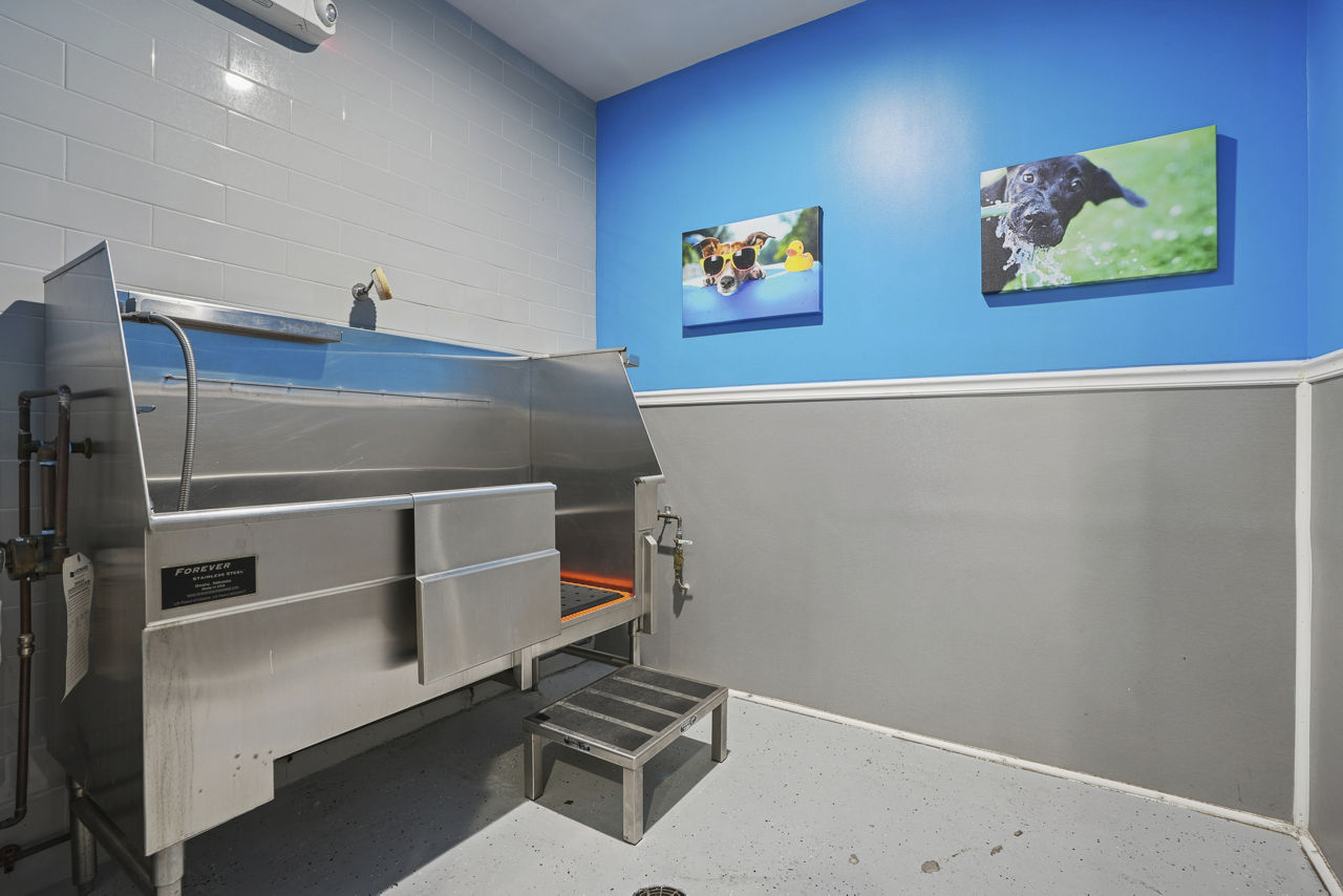 Pet wash at Deco