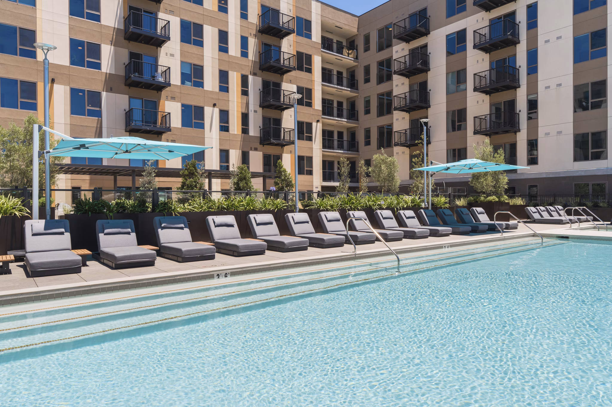 pool at Elowen Apartments