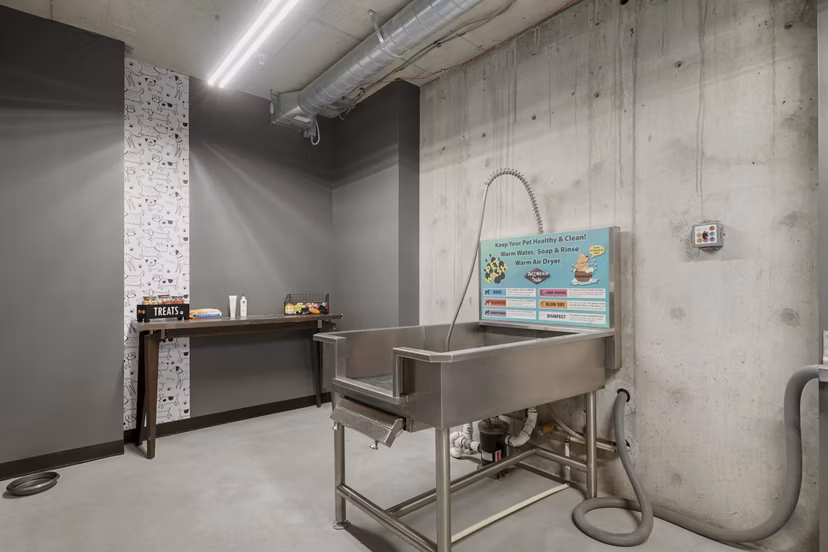 dog wash station at Elevate on 5th Apartments