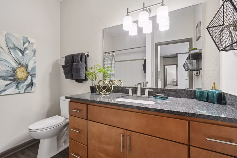 bathroom at Presley Oaks Apartments
