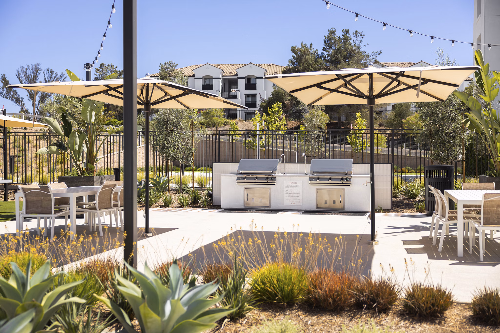 rendering at Montessa Heights Apartments