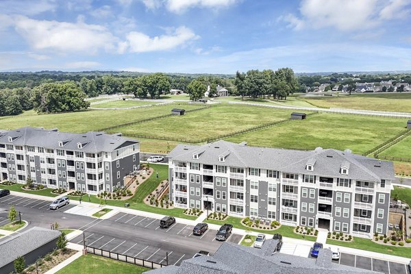 view at The Shoals Apartments 