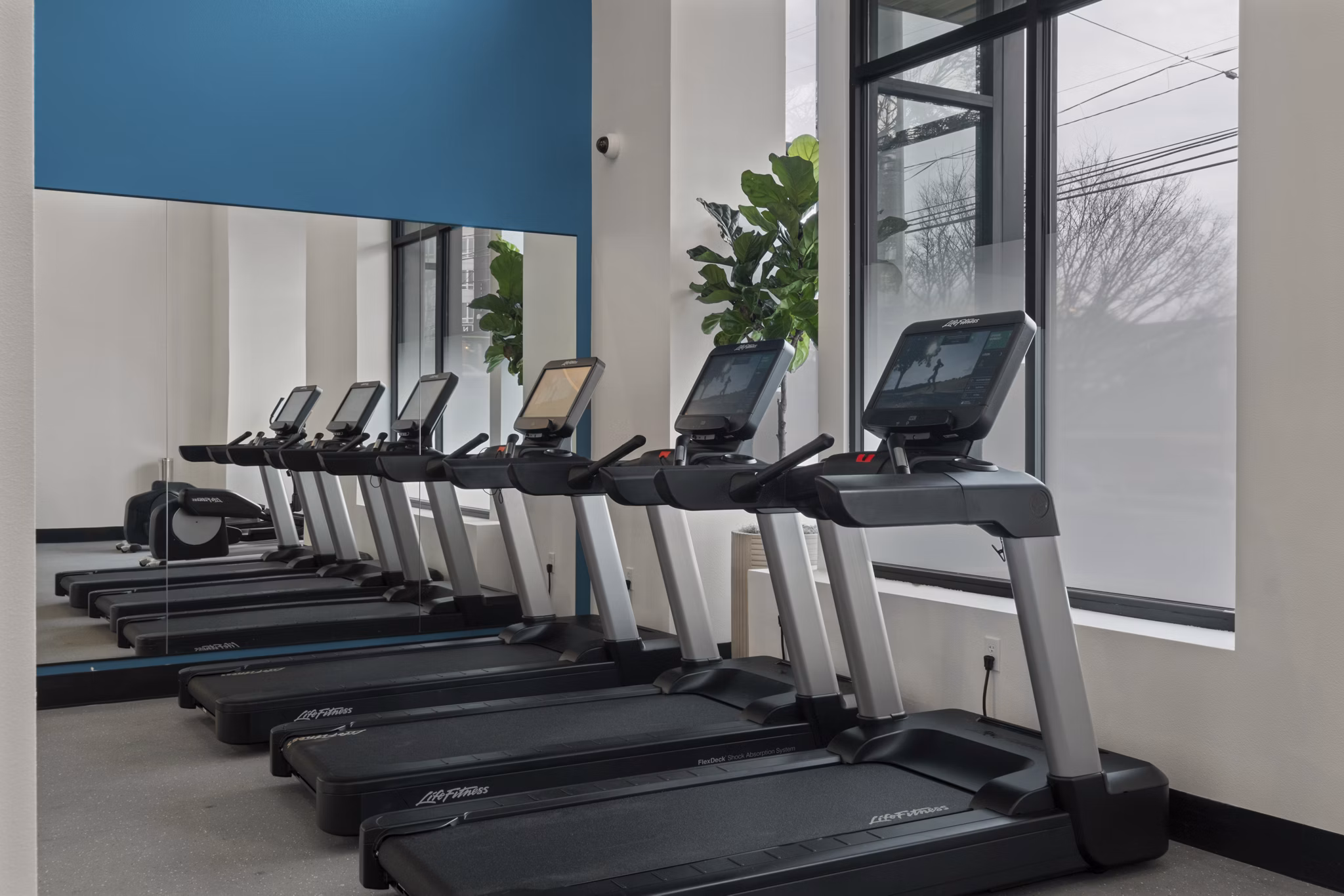 fitness center at Tapestry Apartments