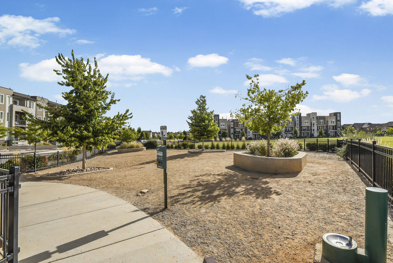 Dog park at Parkside At Littleton Village