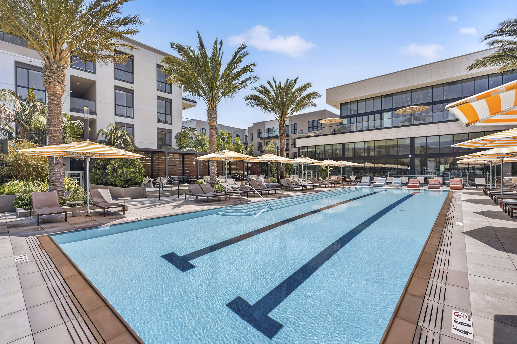 pool at 5420 Sunset Apartments
