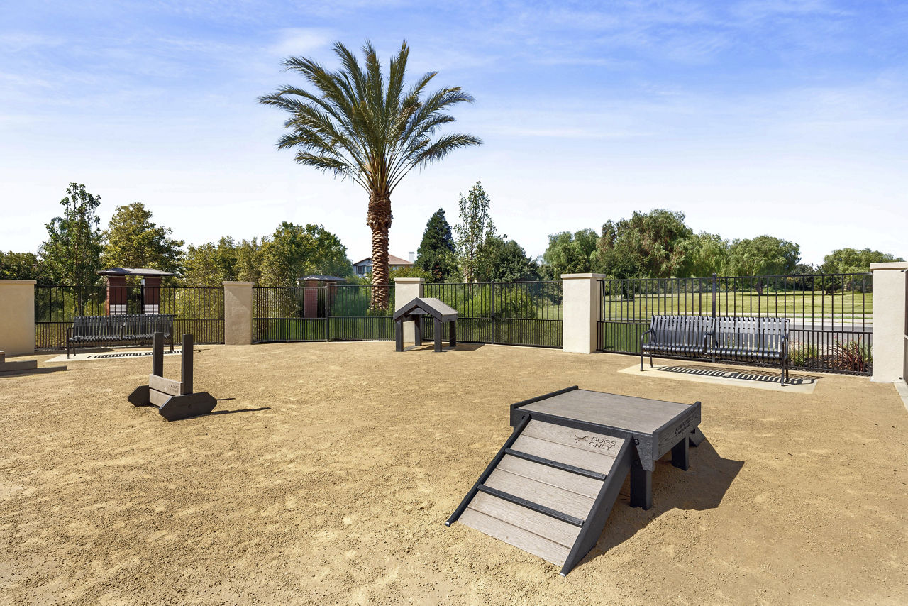 Dog park at Vida At Mountain House (1 of 2)