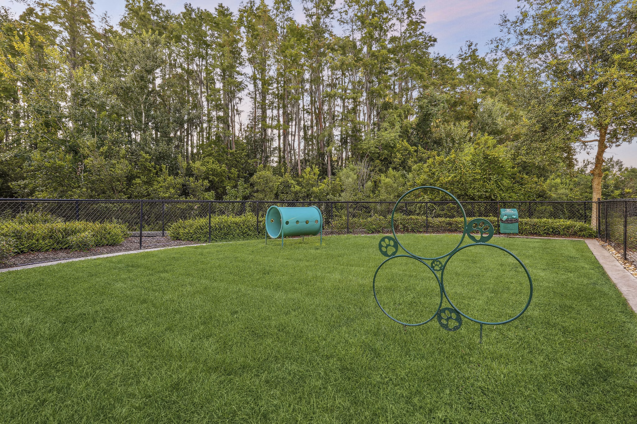 dog park at Lantower Asturia Apartments