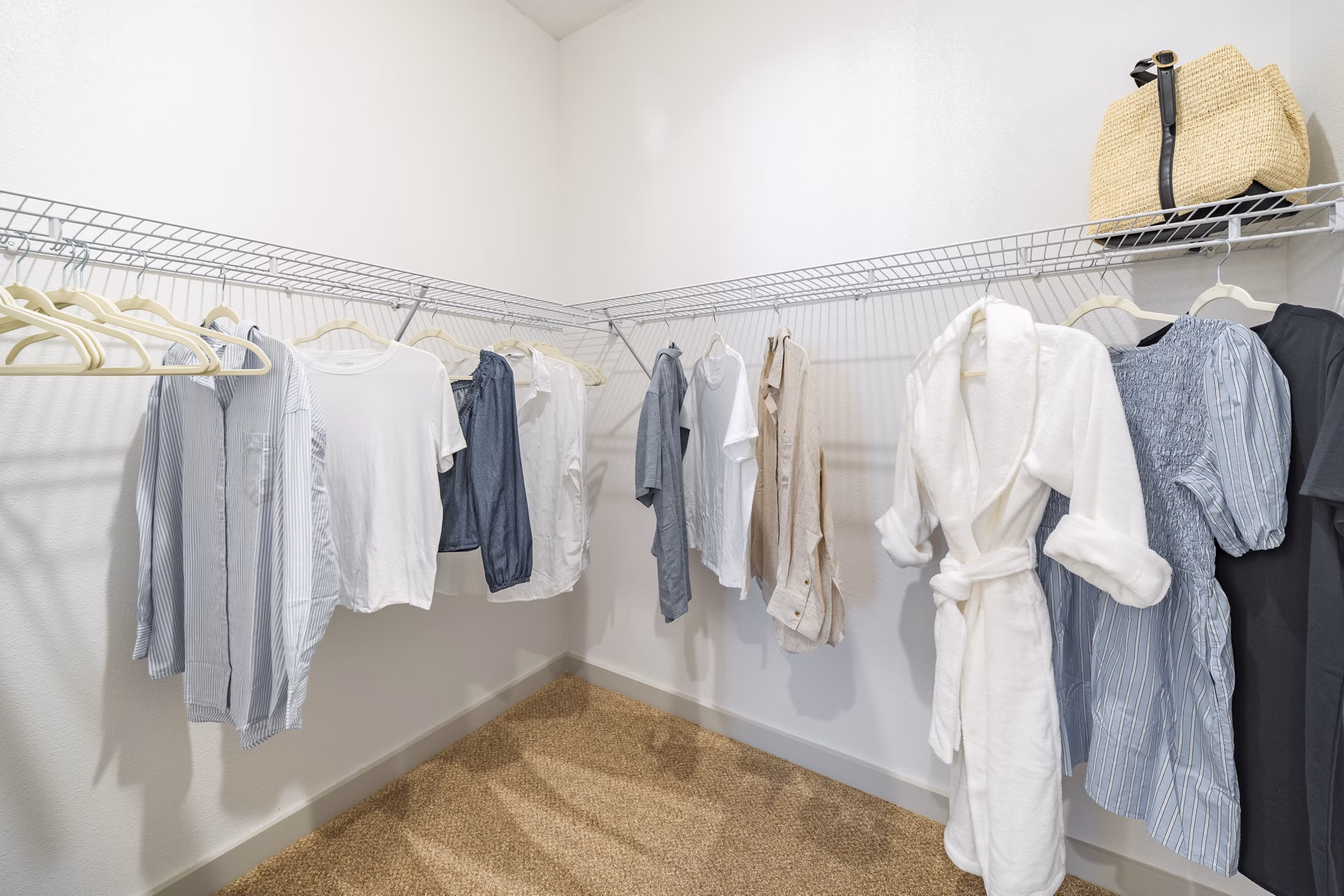 closet at Lago Apartments