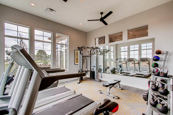fitness center at Village on Cypress Apartments