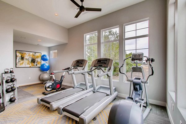 fitness center at Village on Cypress Apartments