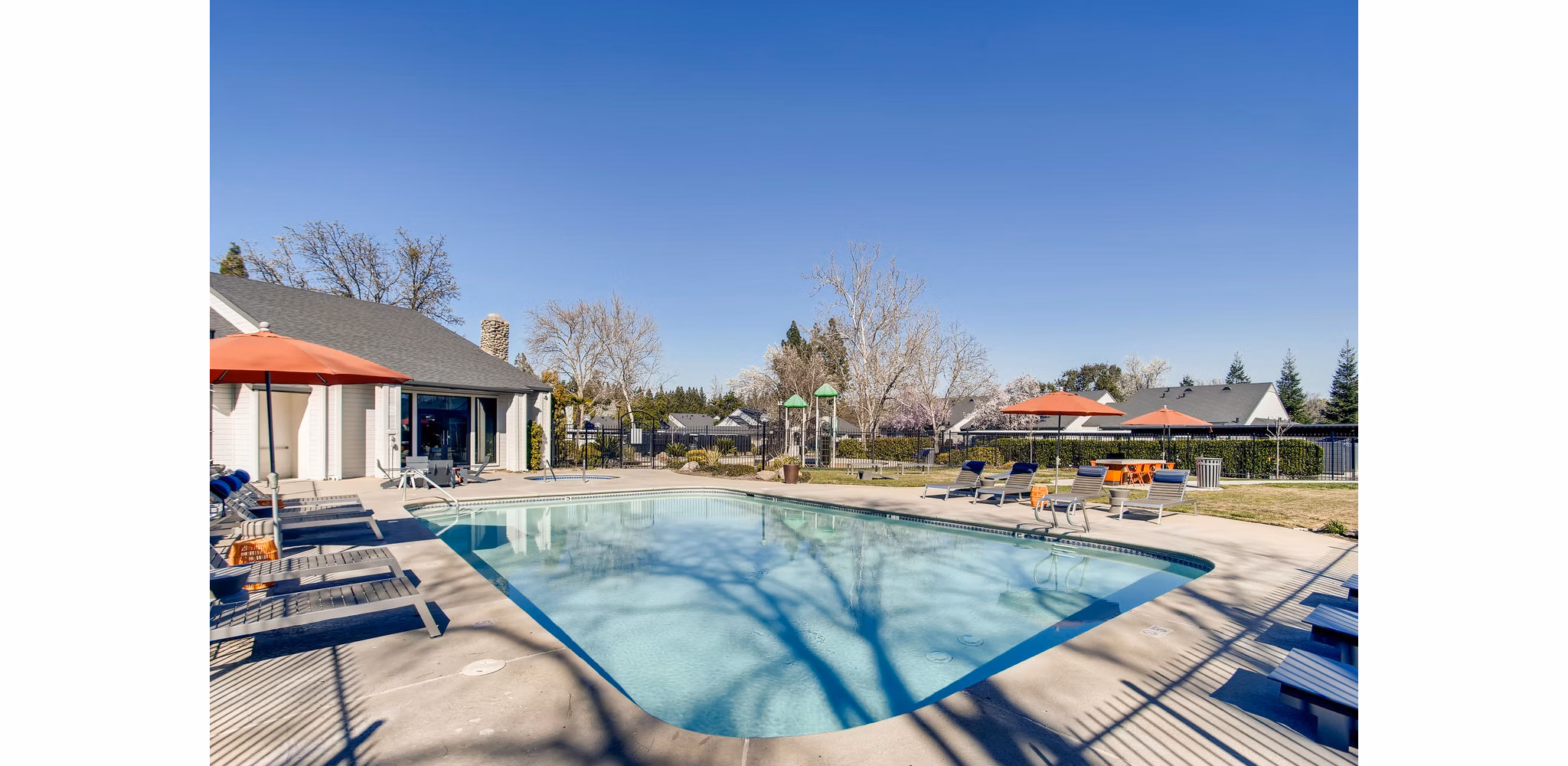 pool at The Harlow Apartments