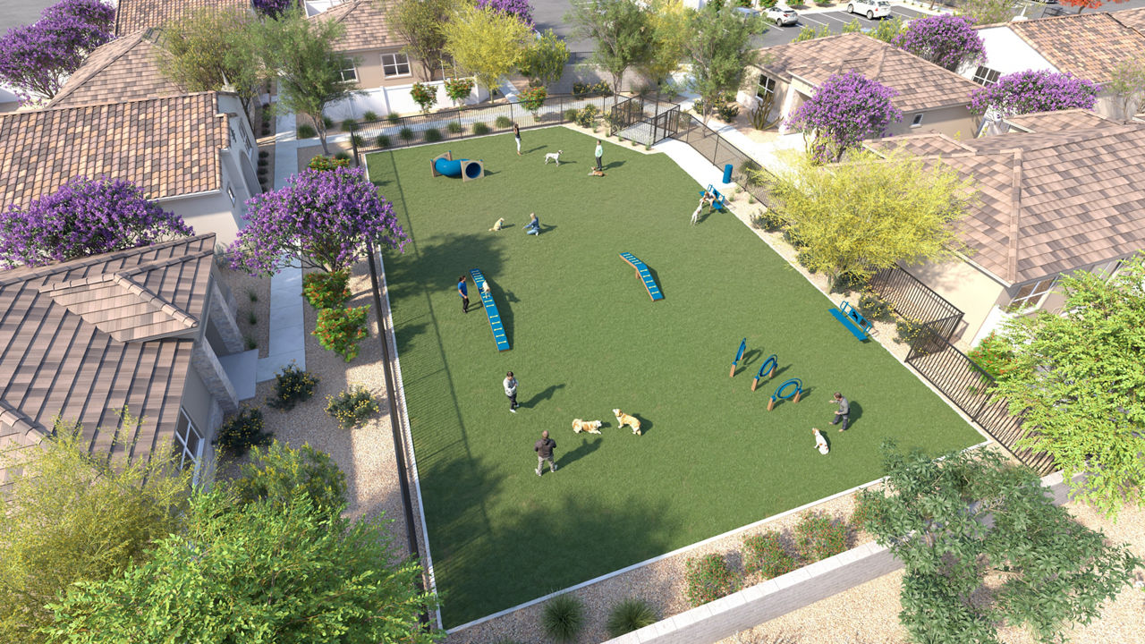 Dog park at Yardly Algodon