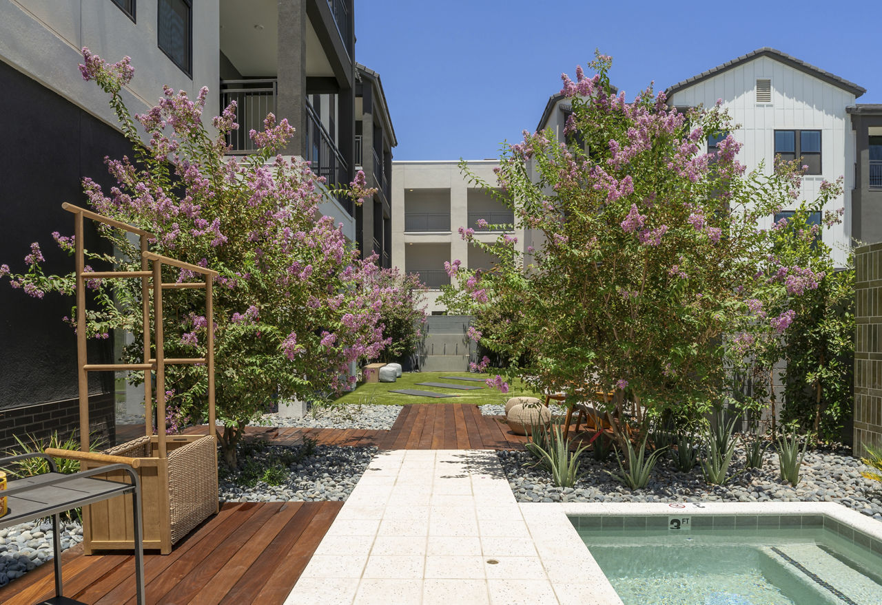 The Mason Mesa Az 6 of 12