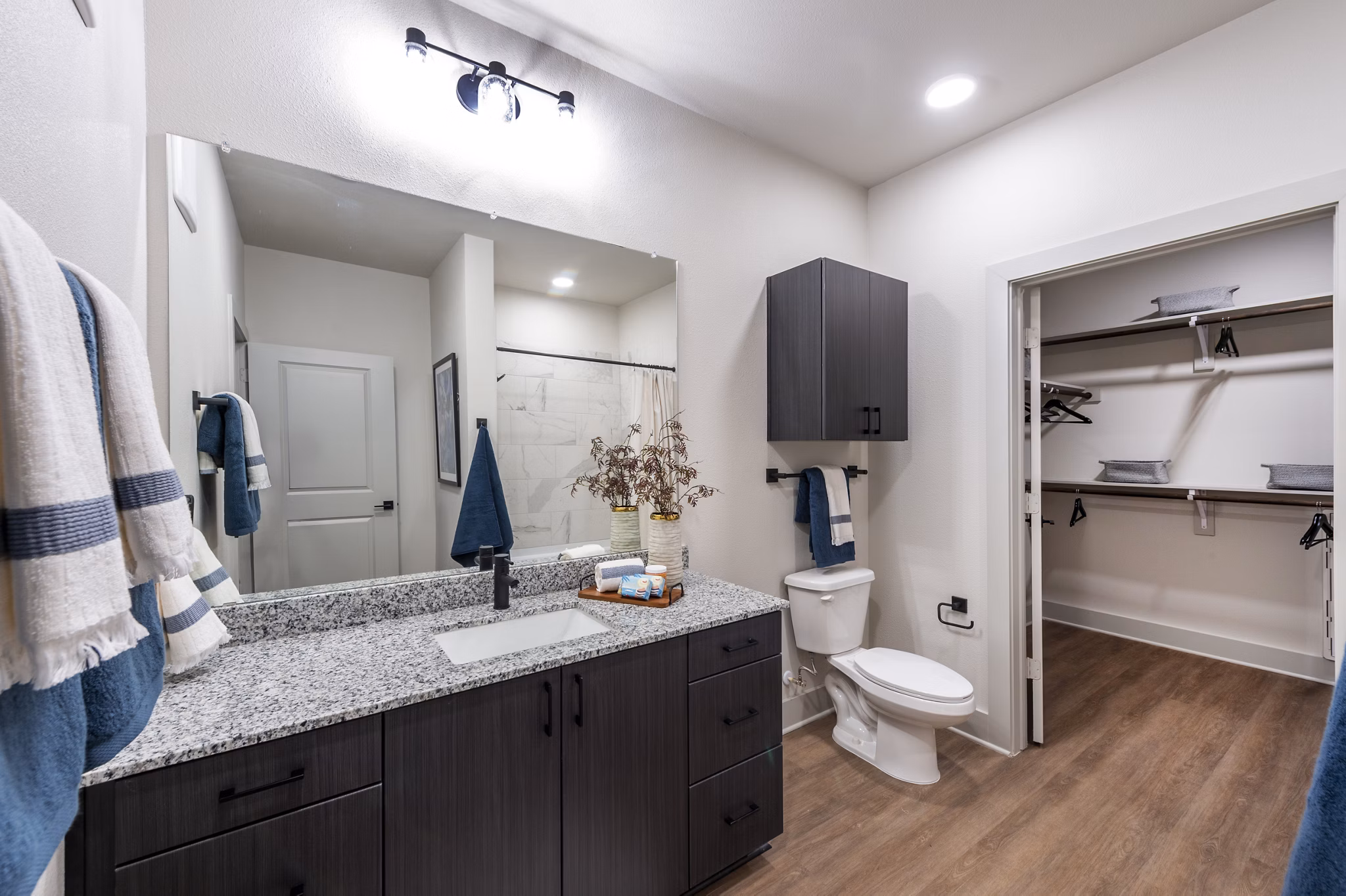 Bathroom at Domain Benbrook Apartments