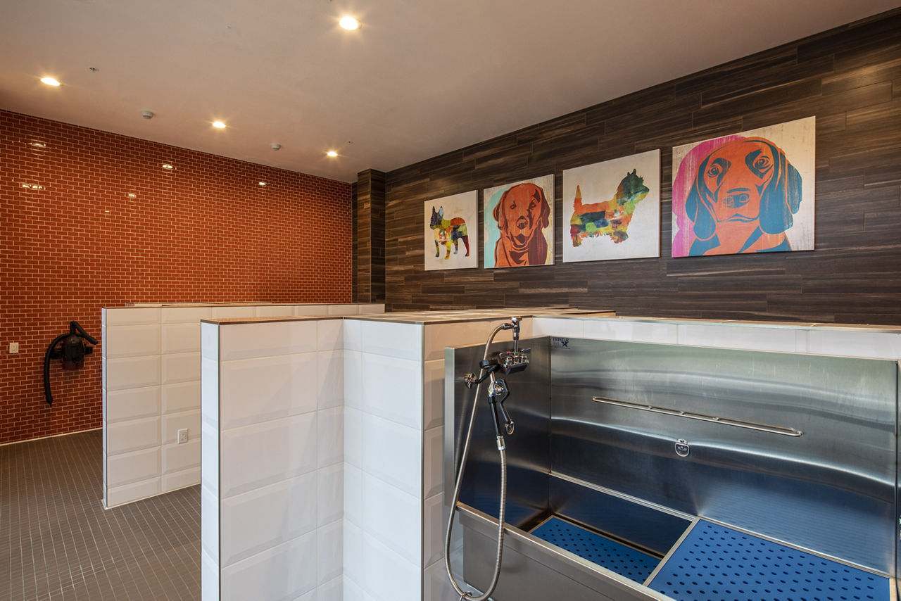 Pet wash at Anton Menlo