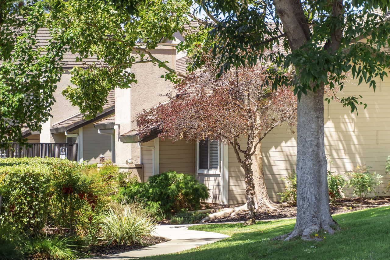 Chardonnay Gardens Livermore Ca 5 of 12