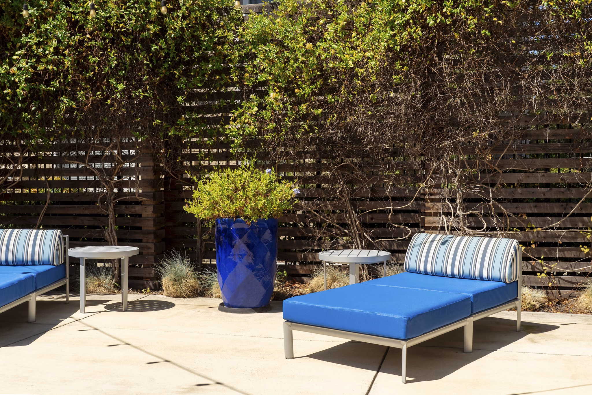 pool at Chardonnay Gardens Apartments
