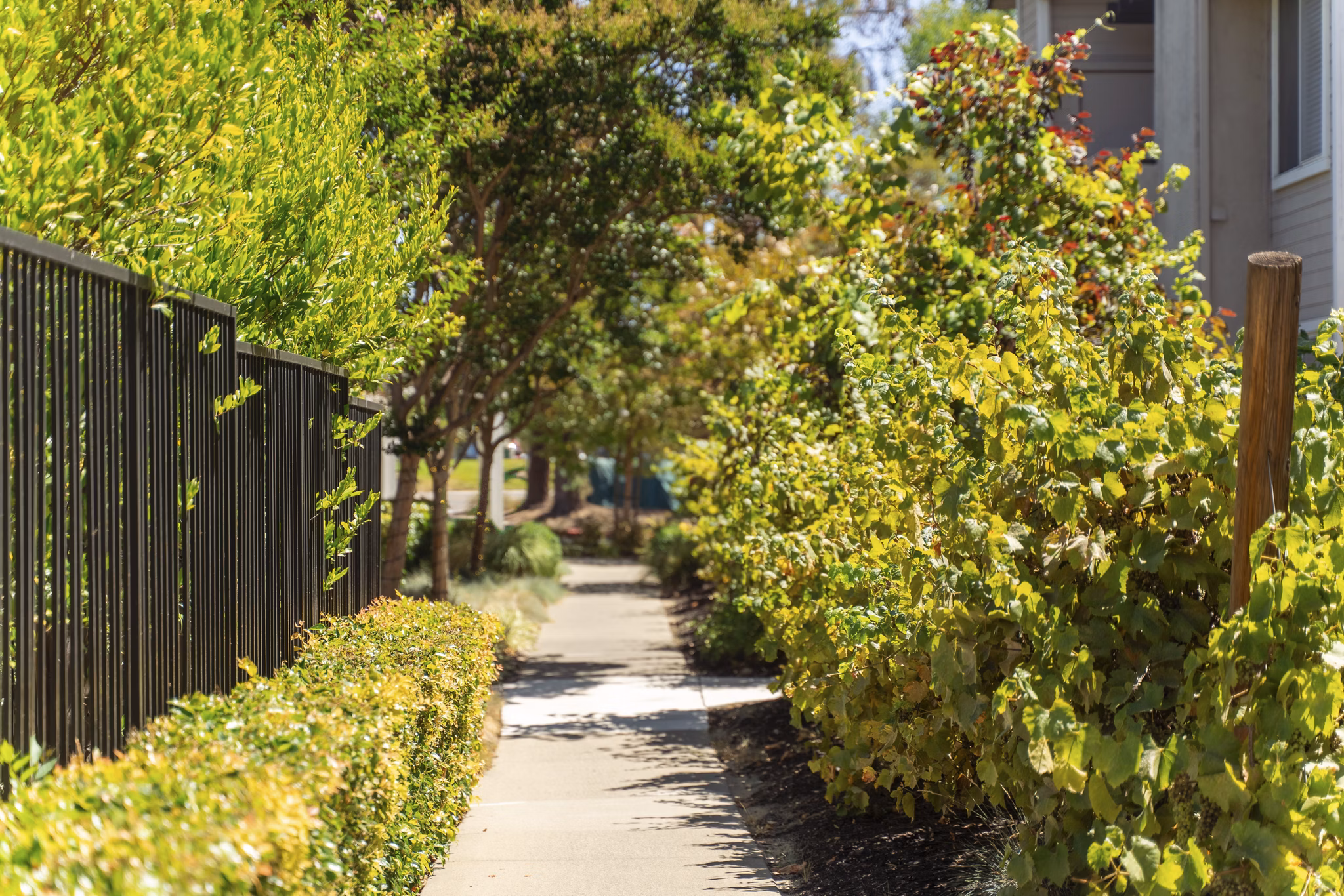 recreational area at Chardonnay Gardens Apartments