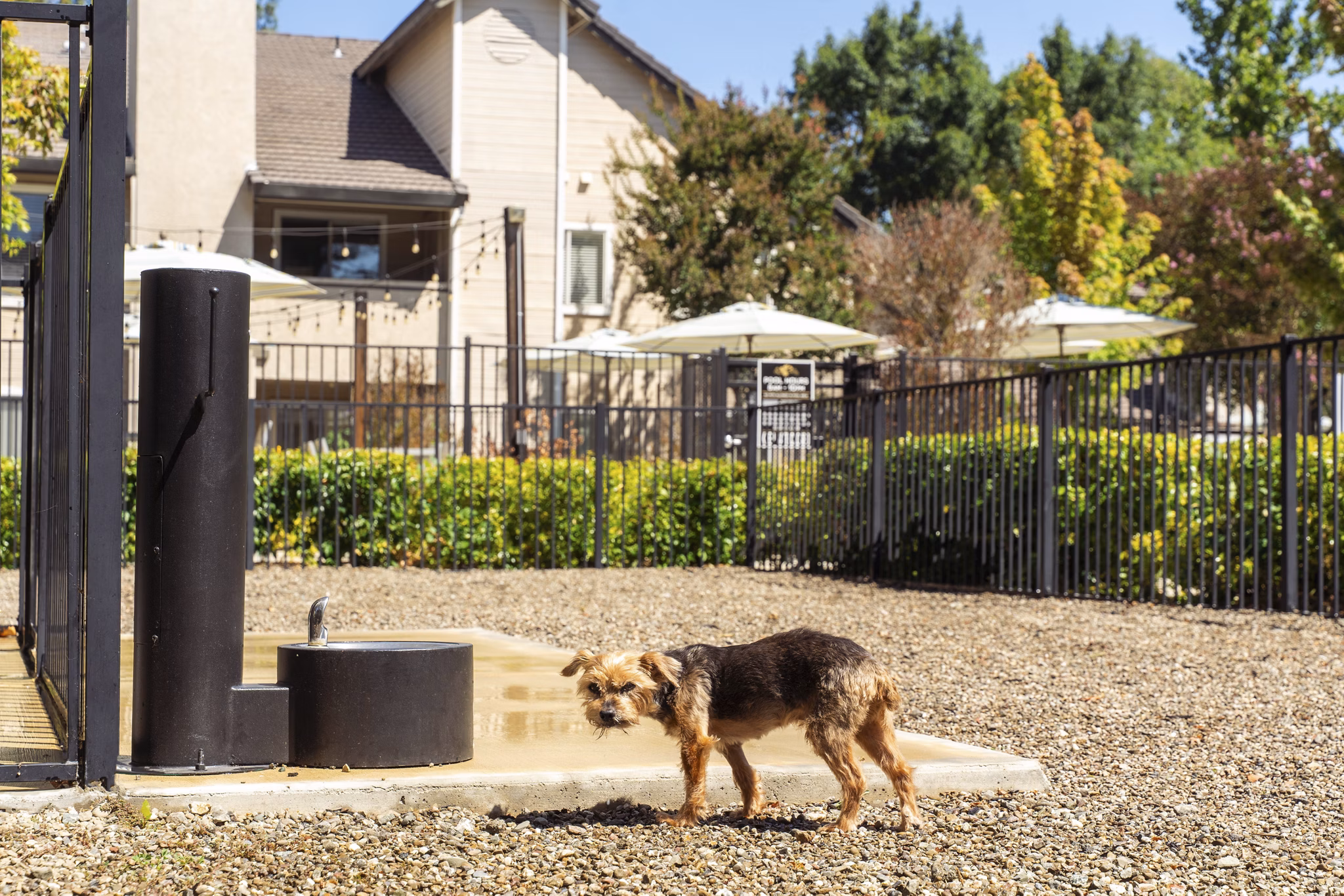 recreational area at Chardonnay Gardens Apartments