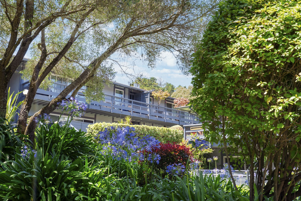 Hillside Garden San Mateo Ca 3 of 12