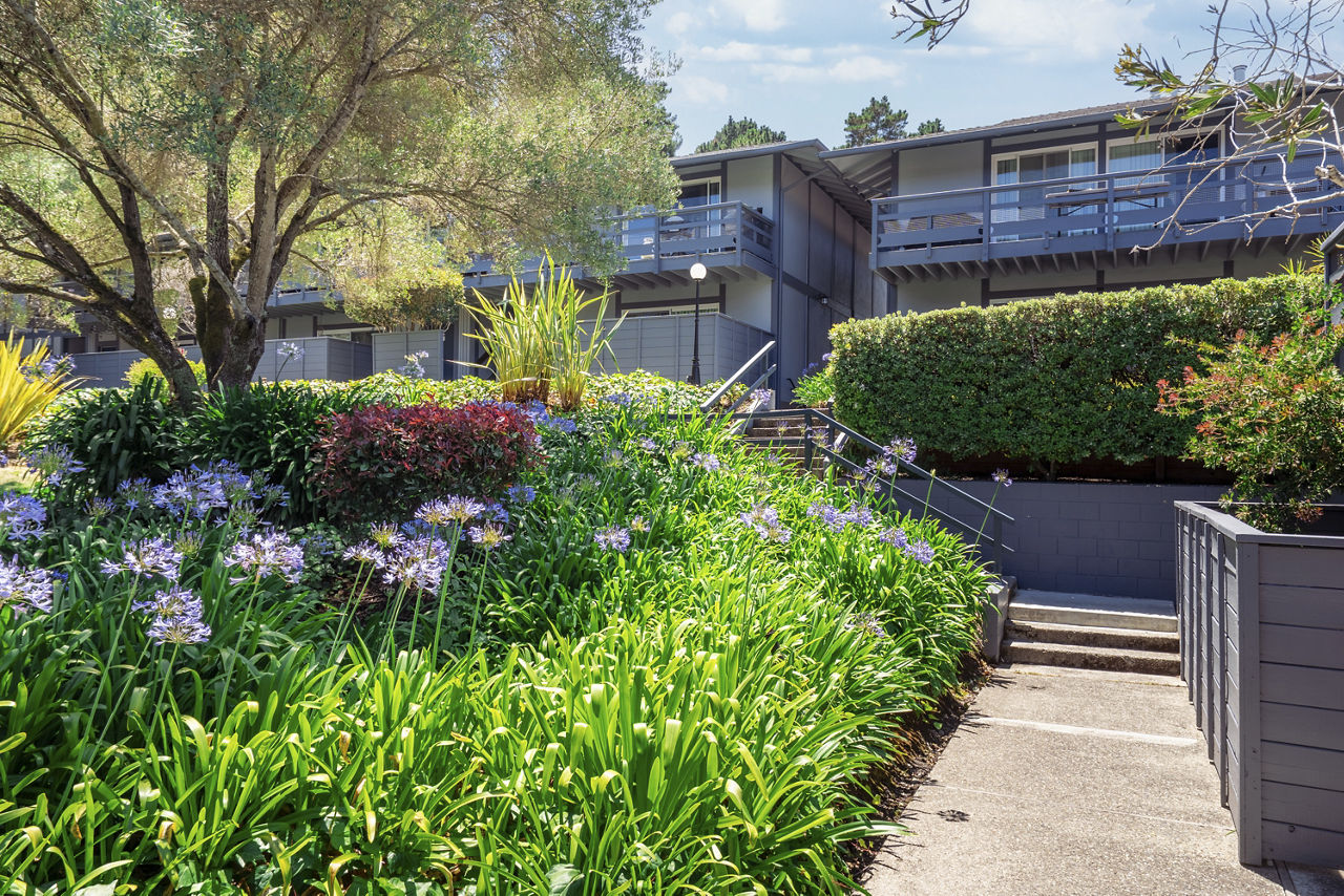 Hillside Garden San Mateo Ca 5 of 12