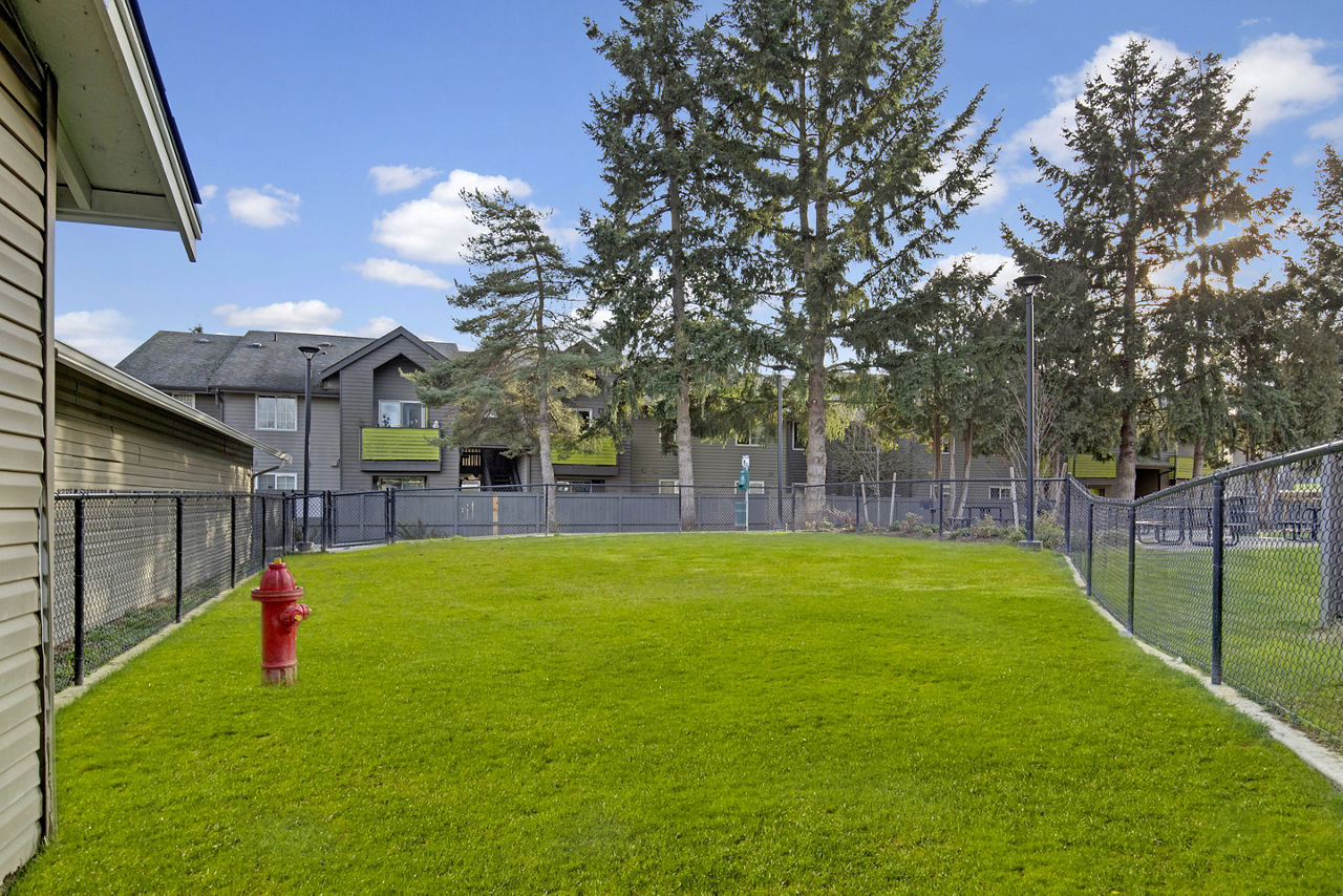 Dog park at Beaumont Grand Apartment Homes