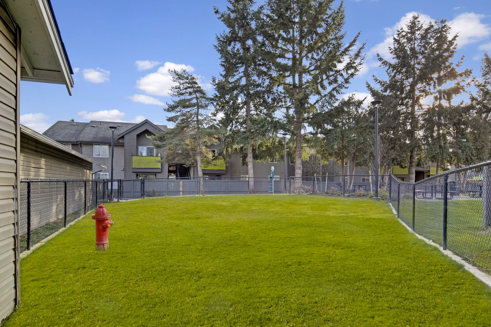 dog park at Beaumont Grand Apartment Homes Apartments 