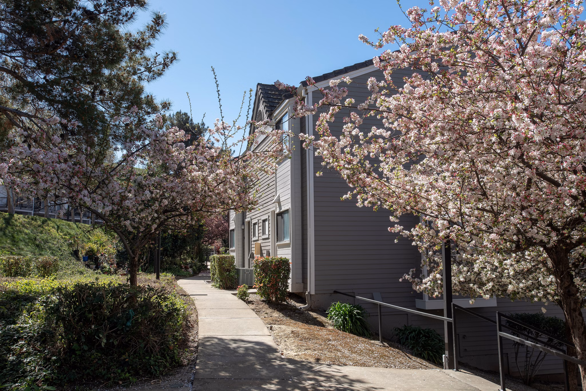 building at Kirker Creek Apartments