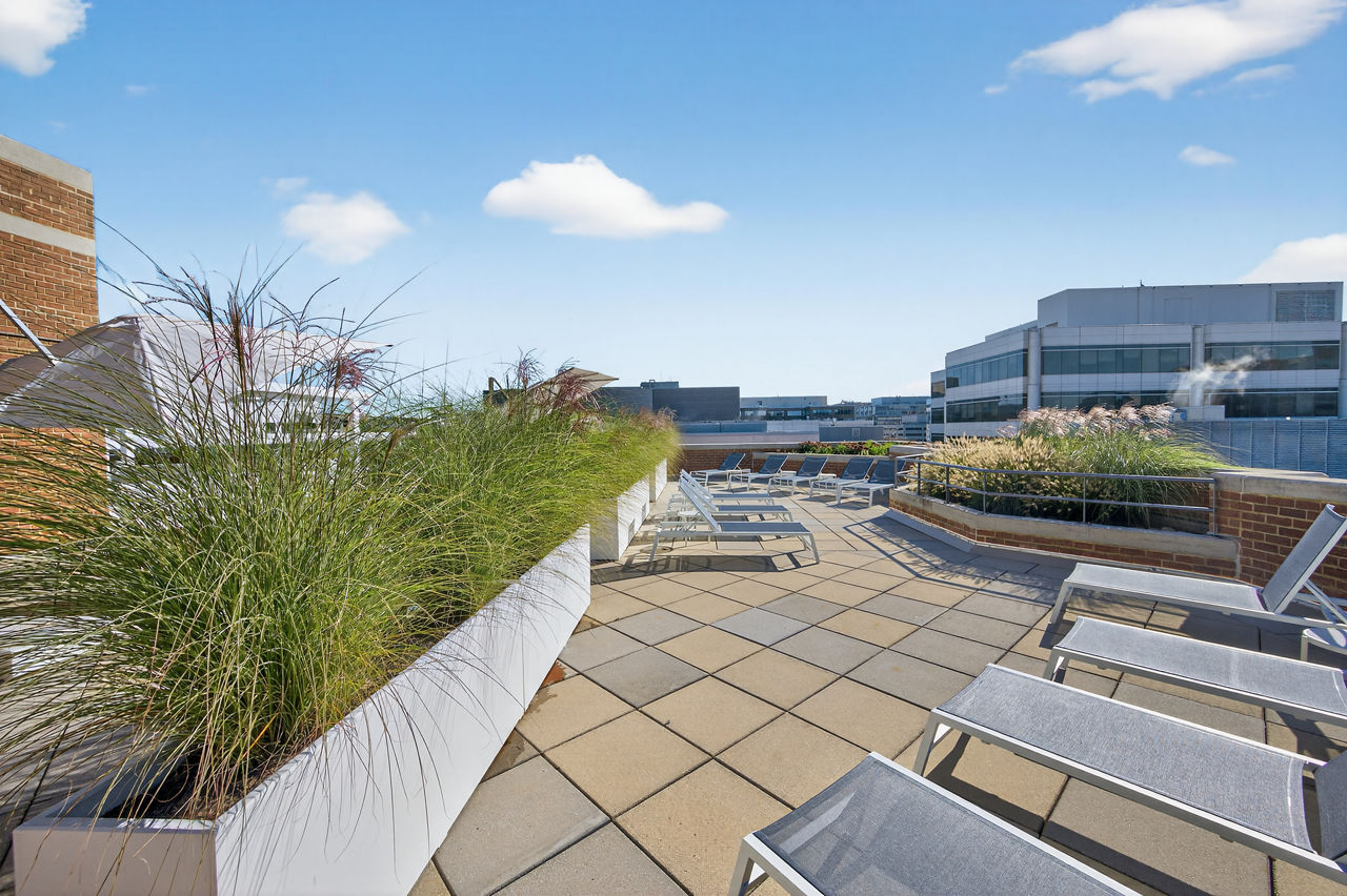 Roof deck at Winston House (6 of 7)