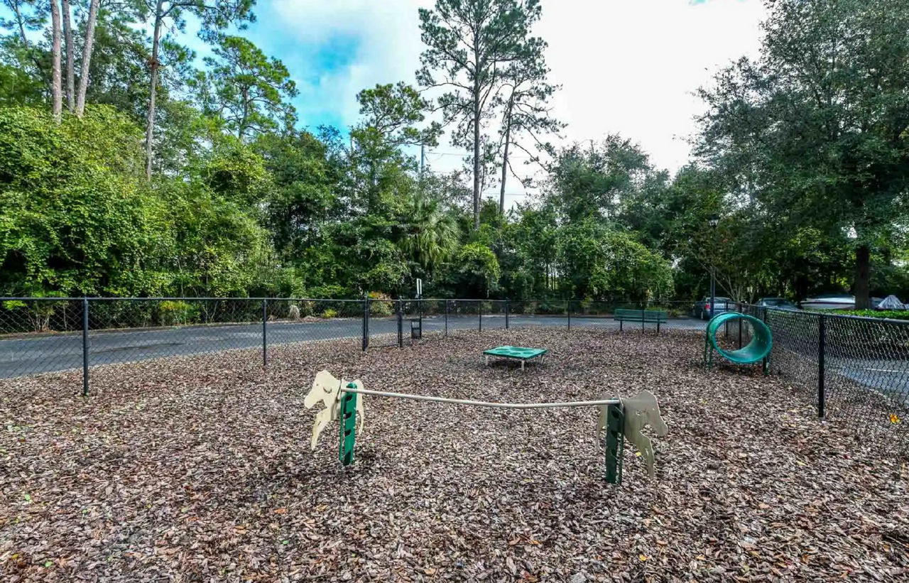 Dog park at Avana Bartram Springs
