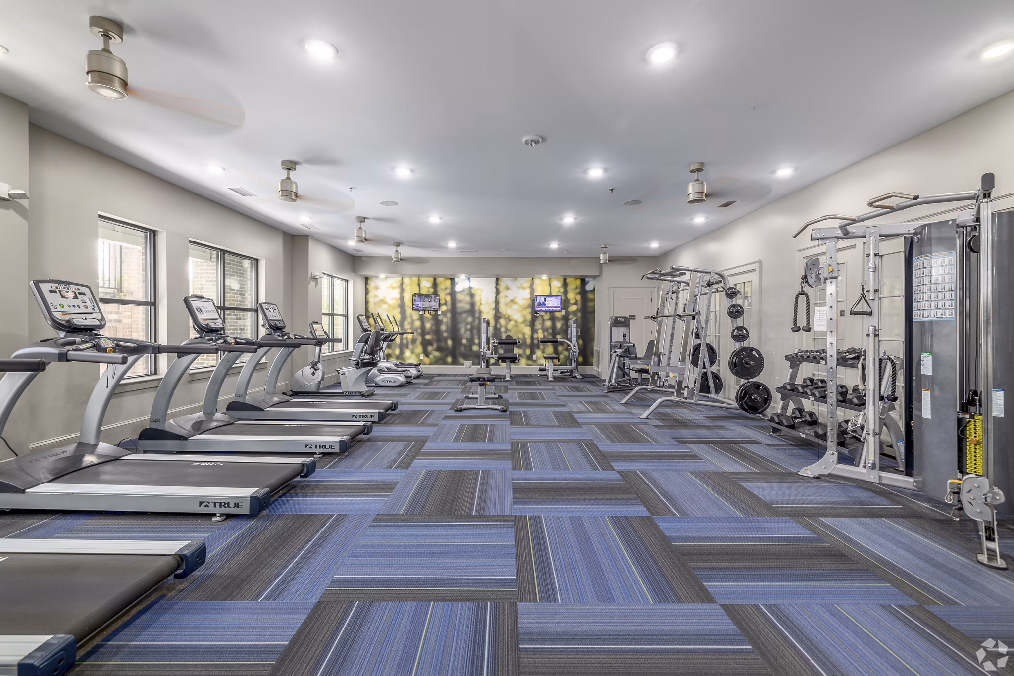 fitness center at The Lexington Dilworth Apartments