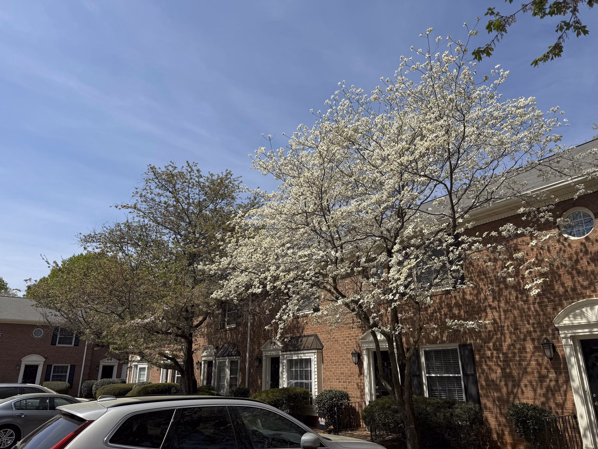 exterior at Park Place Apartments