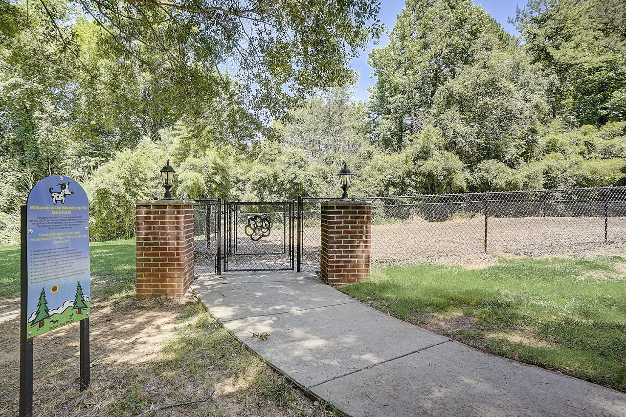Strawberry Hill Charlotte Nc 12 of 12