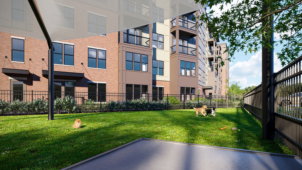 Dog park at The Russell