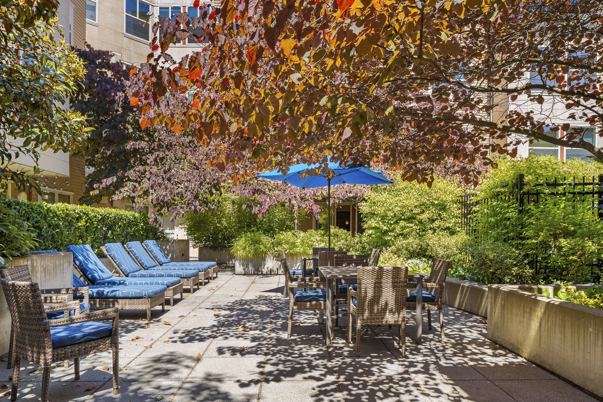 Fire Pit at Island Square Apartments