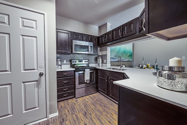 Modern kitchen with stainless steel appliances at Monte Vista Apartments in luxury community setting