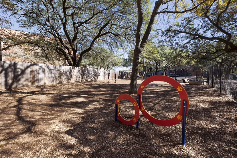 Expansive outdoor dog park at Hardrock Canyon Apartments featuring agility equipment and open play areas