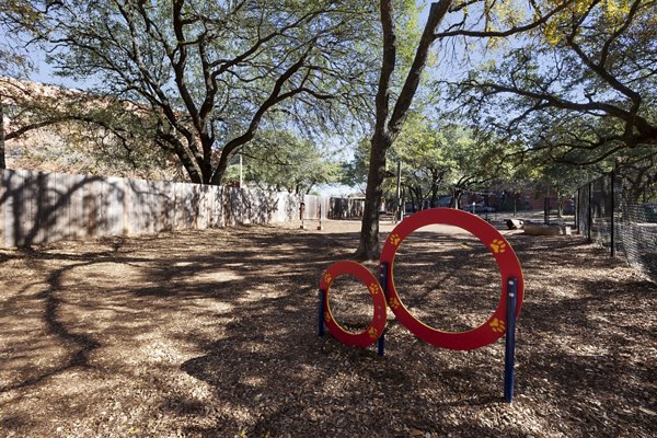 Expansive outdoor dog park at Hardrock Canyon Apartments featuring agility equipment and open play areas