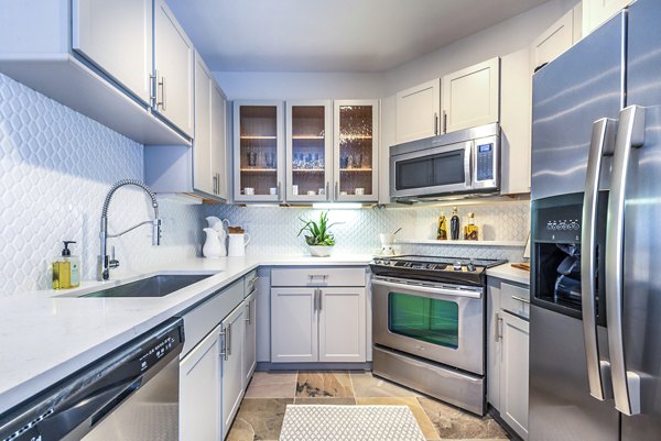 Modern kitchen with stainless steel appliances at Manchester State Thomas Apartments, luxury living in an urban setting